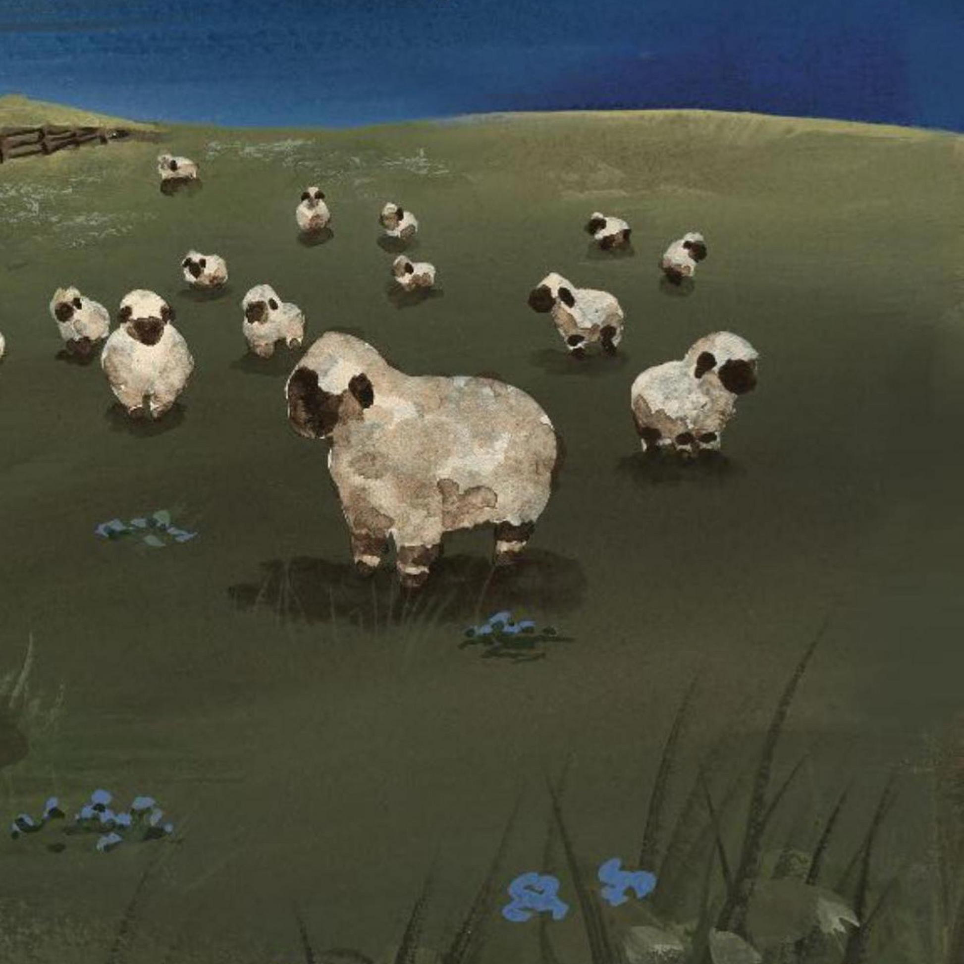 Autographed Copy of What Do Sheep Count?