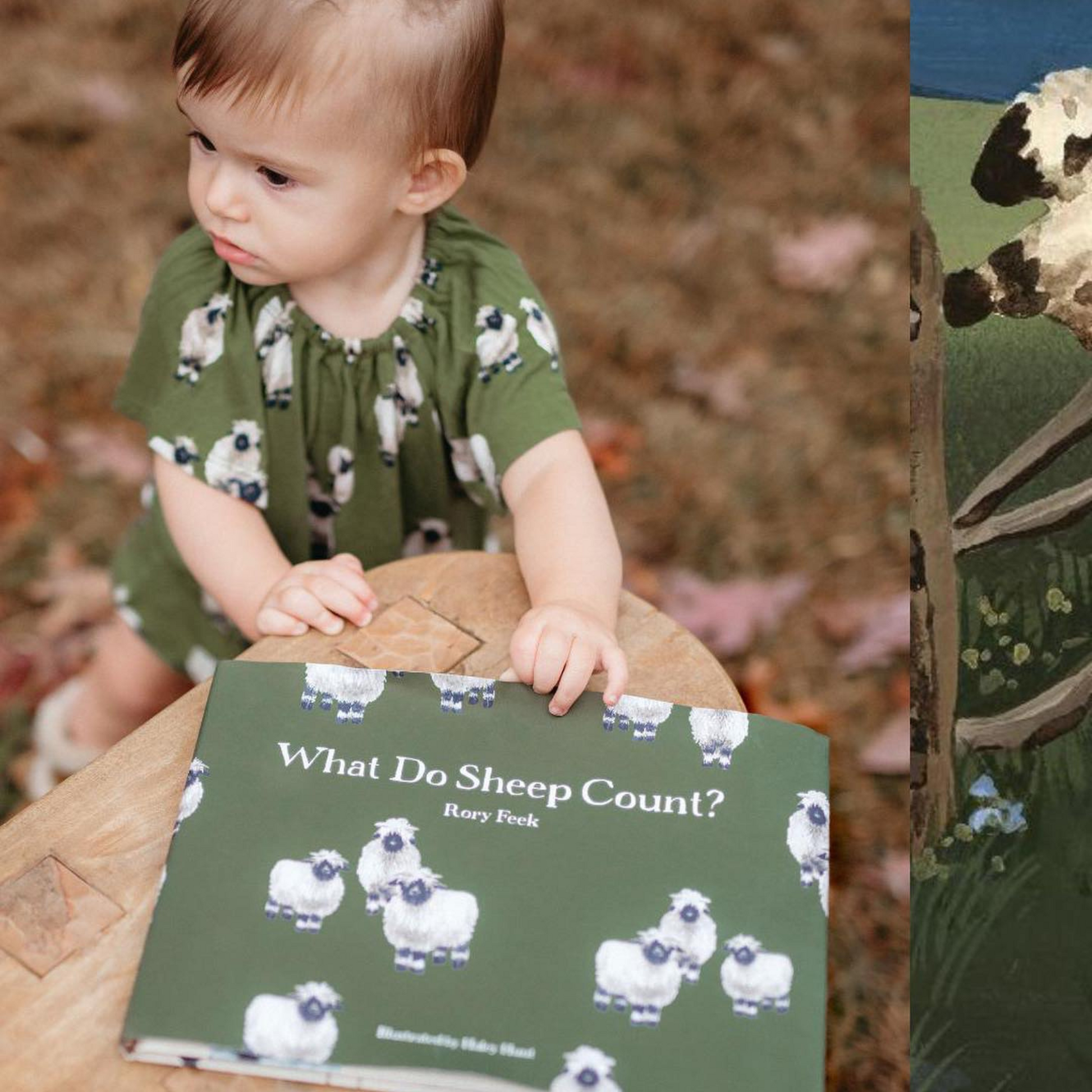 Autographed Copy of What Do Sheep Count?