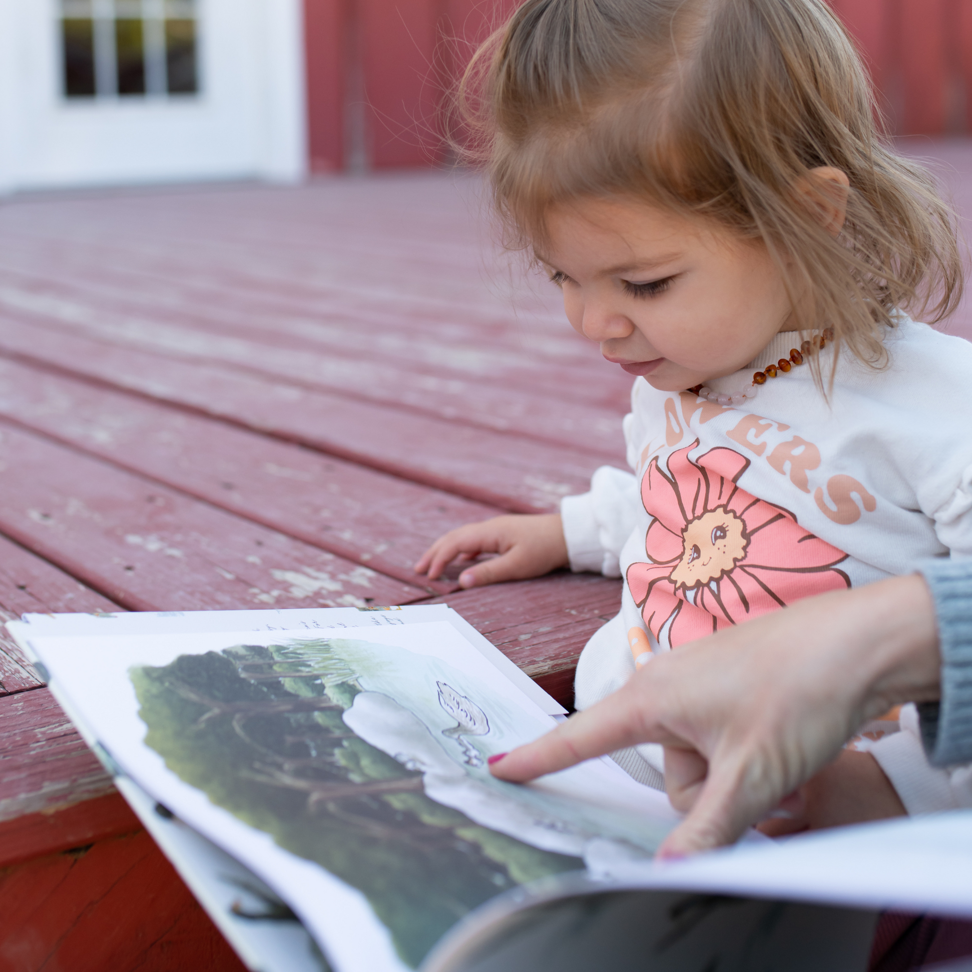 Autographed Copy of Little Huck
