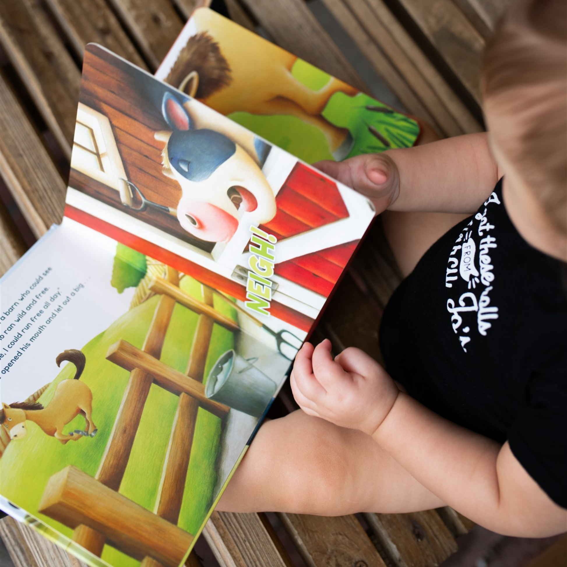 Autographed The Cow Said Neigh!  A Farm Story (Board Book)